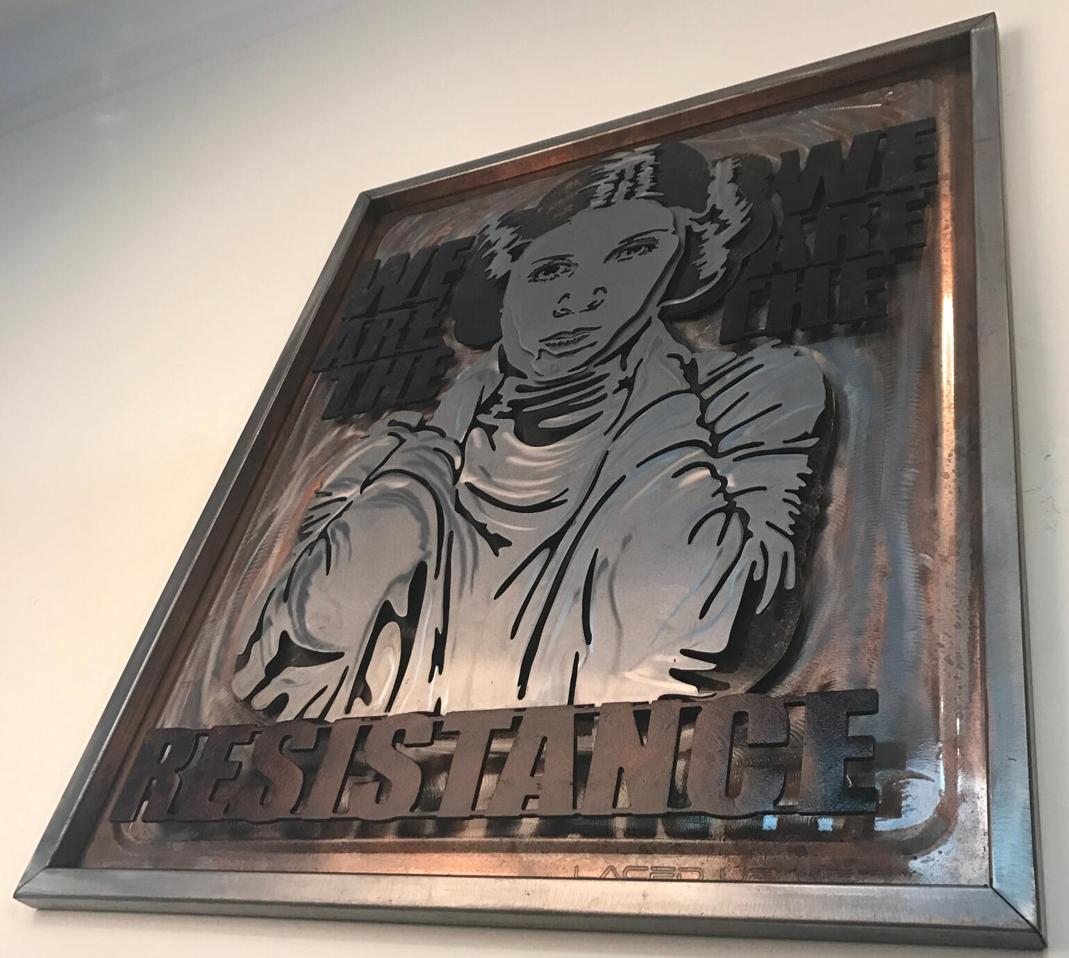 we are the resistance